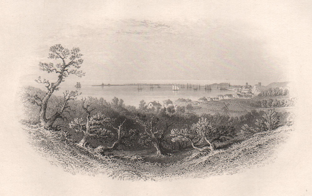 PROVINCETOWN harbour, Cape Cod, Massachusetts. Pilgrim fathers. BARTLETT 1854